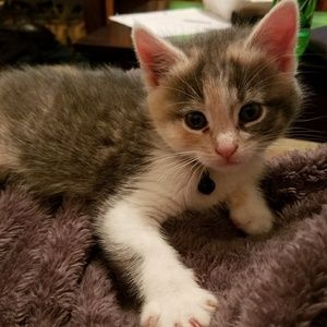 Meet your Posher, Marty
